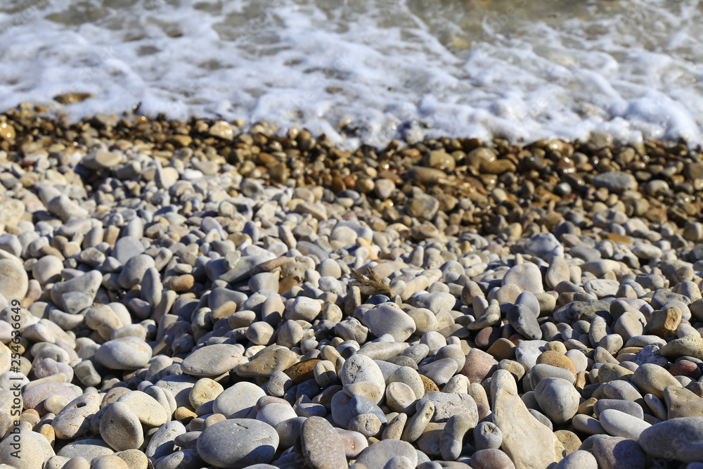 Piedras húmedas variadas en la playa Piedras húmedas variadas en la playa