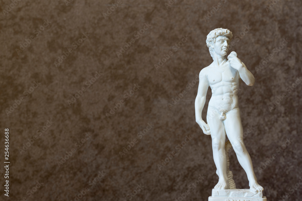 Obraz premium Statue of David (Michelangelo) Front View Background 2019