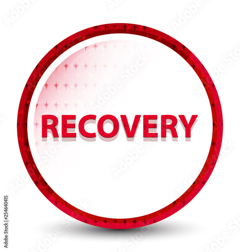 Recovery misty frozen red round button