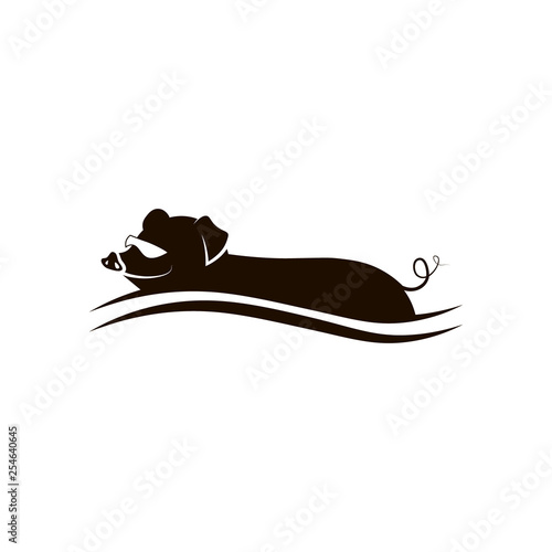 Bahamas Swimming Pig. Vector illustration.