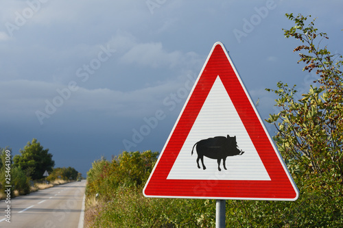Traffic sign warning about wild boars near the road. Croatia. 