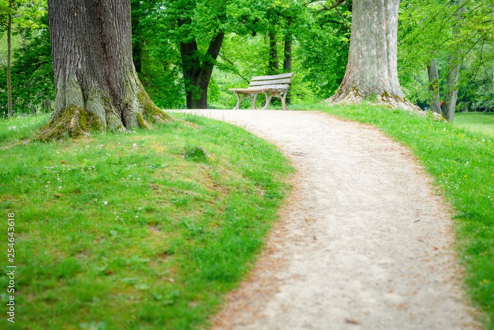 Fototapeta premium lonely bench in the green