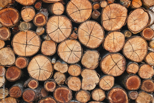 The trees that are cut  stored  made fuel  cutting across the.