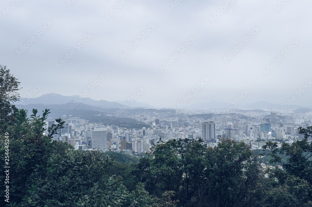 Seoul cityscape view from Namsan park