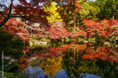 Autumn scenery of Kyoto, Japan