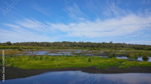 Lake Wagardu in Yanchep National Park, Yanchep, Western Australia. Located north of Perth, the park's bushland and wetland are home to western gray kangaroos and rich birdlife.