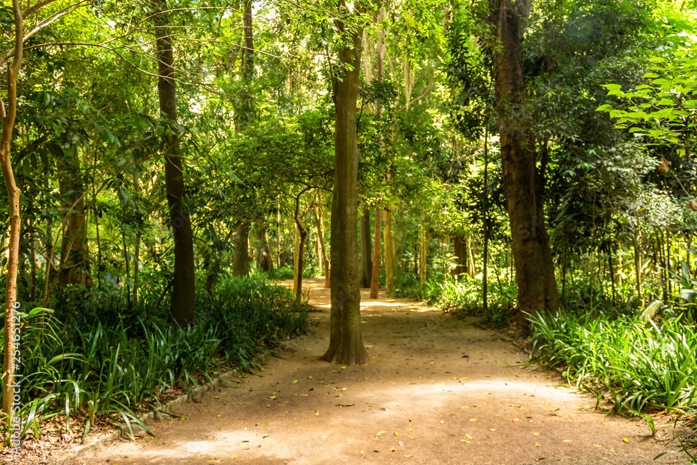 Fototapeta premium SÃO PAULO - PARQUE DA INDEPENDÊNCIA - MUSEU DO IPIRANGA