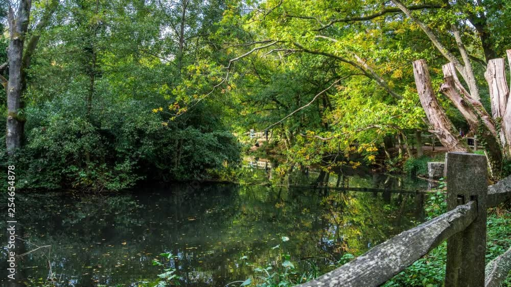 Rowe's Flashe Lake at Winkworth Arboretum, in Surrey, England, UK Rowe's Flashe Lake at Winkworth Arboretum, in Surrey, England, UK