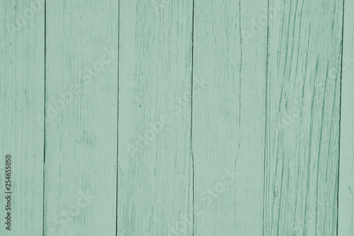 Weathered light green textured wood background