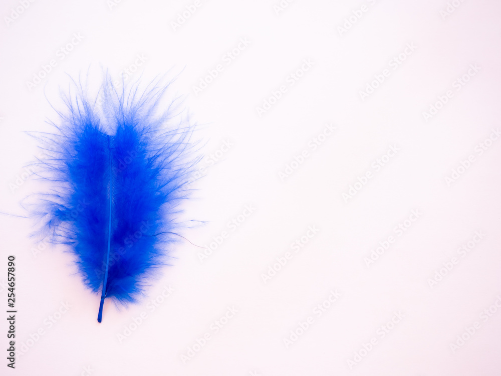 Blue feather on a pastel pink background Blue feather on a pastel pink background