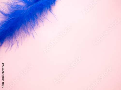Blue feather on a pastel pink background © anuskiserrano