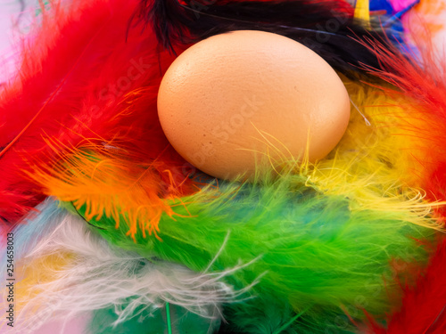 An egg among many feathers dyed in various colors