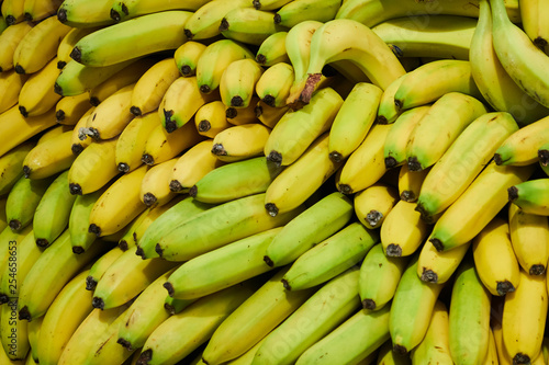 Lots of fresh bananas. Background with close-up shooting