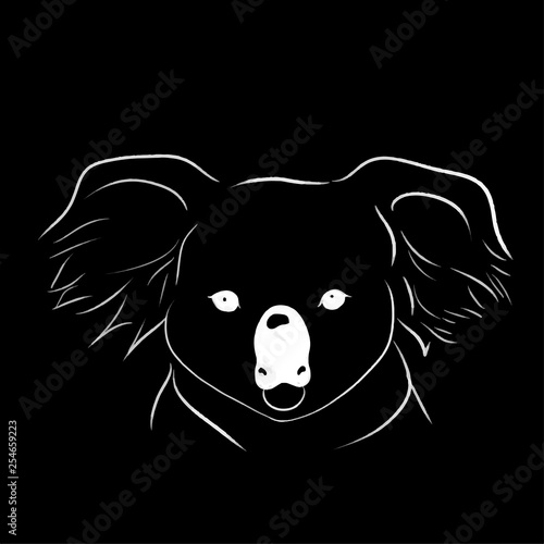 line draw beautiful big head of koala line vector illustration photo