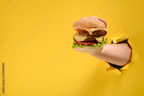 Hand taking a big burger photo