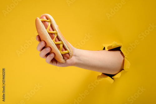 Tableau sur toile Hand taking a hot dog