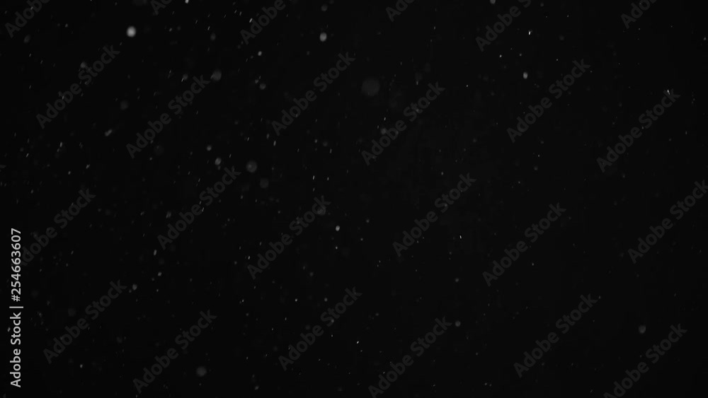 Natural Organic Dust Particles Floating On Black Background. Dynamic Dust Particles Randomly Float In Space With Fast And Slow Motion. Shimmering Glittering White Particles With Bokeh In The Air. Natural Organic Dust Particles Floating On Black Background. Dynamic Dust Particles Randomly Float In Space With Fast And Slow Motion. Shimmering Glittering White Particles With Bokeh In The Air.
