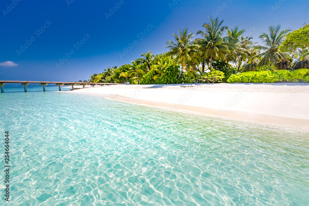 Fototapeta premium Beautiful beach with palm trees and moody sky. Summer vacation travel holiday background concept. Maldives paradise beach. Luxury travel summer holiday background concept