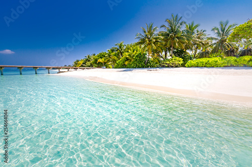 Fototapeta Naklejka Na Ścianę i Meble -  Beautiful beach with palm trees and moody sky. Summer vacation travel holiday background concept. Maldives paradise beach. Luxury travel summer holiday background concept