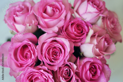 Bouquet of pink roses close-up