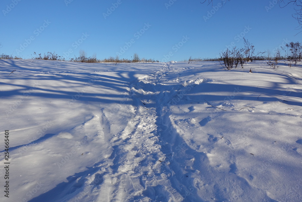 rural winter landscape with a field snow and the blue sky