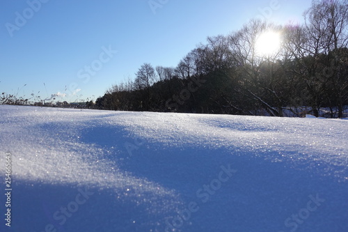 Rural winter landscape with a field snow and the blue sky. Low winter sun. © Aleksandr