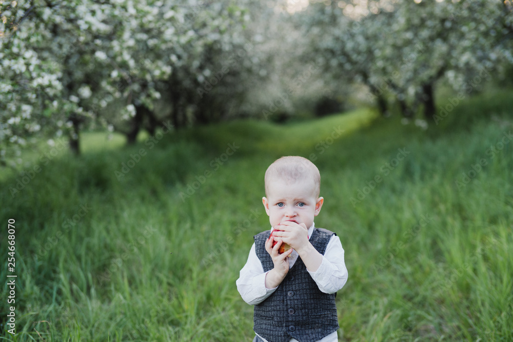 Happy cute caucasian little boy having picnic in spring blooming garden. Beautiful child with a basket full of apples. Childhood, happiness concept. Happy cute caucasian little boy having picnic in spring blooming garden. Beautiful child with a basket full of apples. Childhood, happiness concept.
