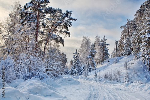 deep white snow in winter forest © Alexander Potapov
