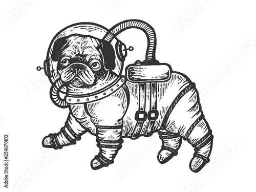 Pug puppy in armour space suit sketch engraving vector illustration. Scratch board style imitation. Black and white hand drawn image.