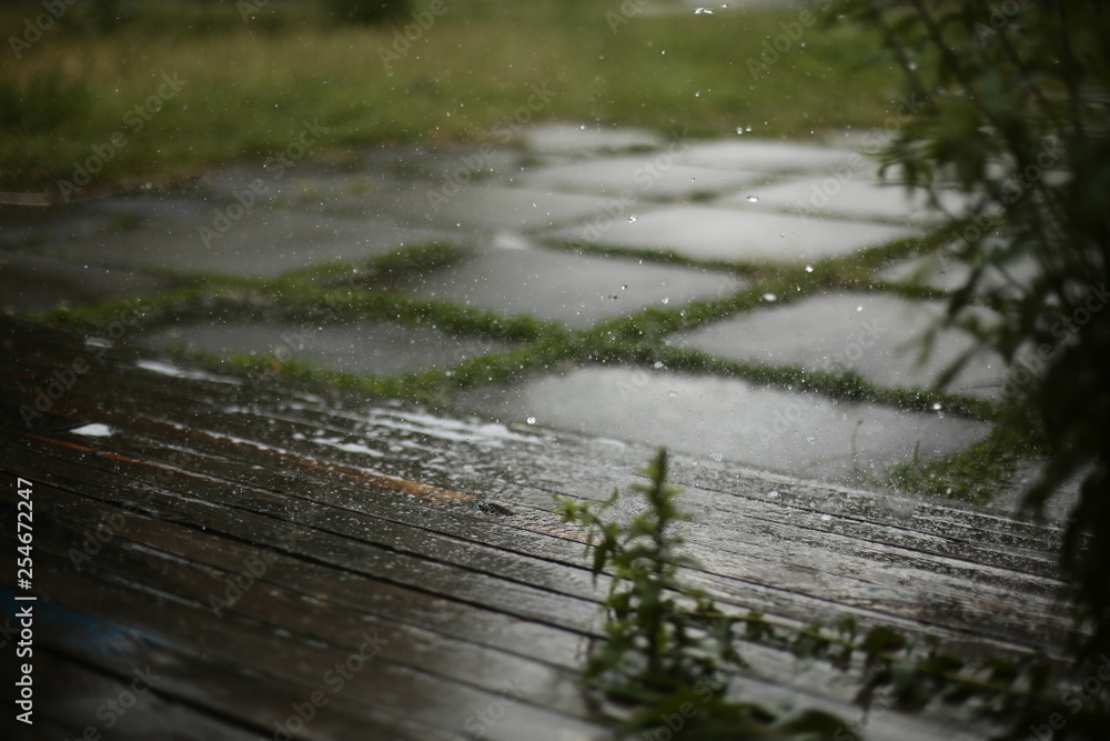 Fototapeta premium blurred rain background