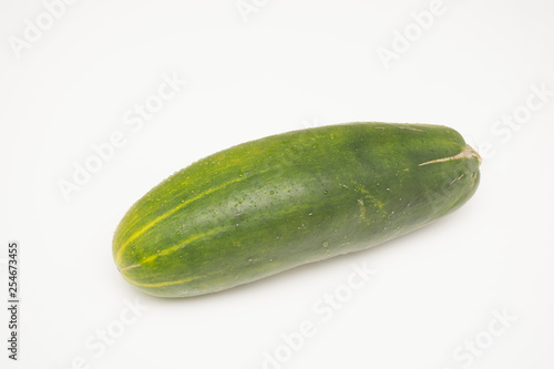 Fresh cucumber, Cucumis sativus