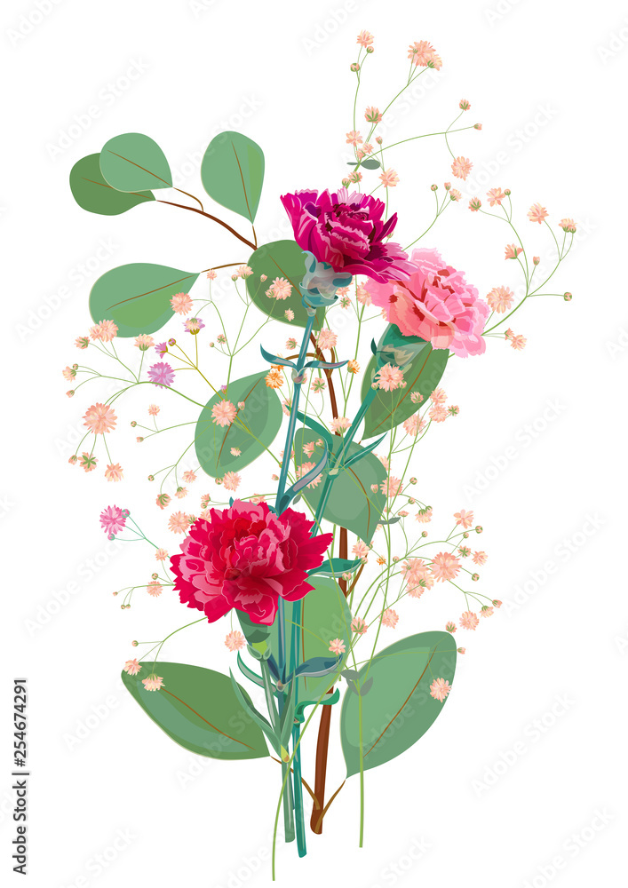 Bouquet of carnation schabaud, pink, red flowers, twigs gypsophile, eucalyptus populus, white background, card for Mother's Day, Victory day. Digital draw, illustration in watercolor style, vector
