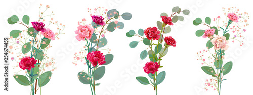 Bouquet of carnation schabaud, pink, red flowers, twigs gypsophile, eucalyptus populus, white background, card for Mother's Day, Victory day. Digital draw, illustration in watercolor style, vector