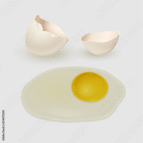 White eggshell and yolk isolated on gray background. Vector illustration.