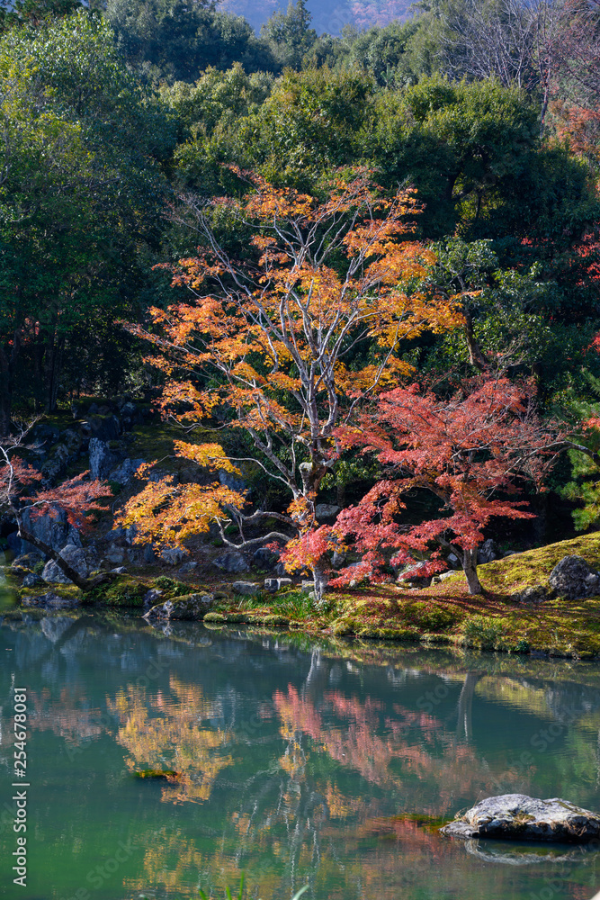 Japanese garden in TEnryuji temple - Kyoto, Japan Japanese garden in TEnryuji temple - Kyoto, Japan