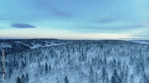 Top view of the snowy taiga in northern Finland. beautiful, lonely winter forest photo