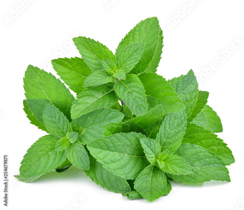 Fotografi Fresh mint leafs isolated on a white background