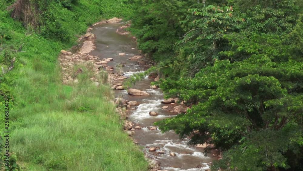 Small river flow between creek rock in forest, Panning Right, Panning.