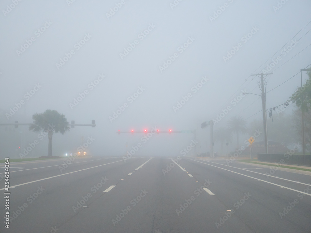 Big road and morning fog
