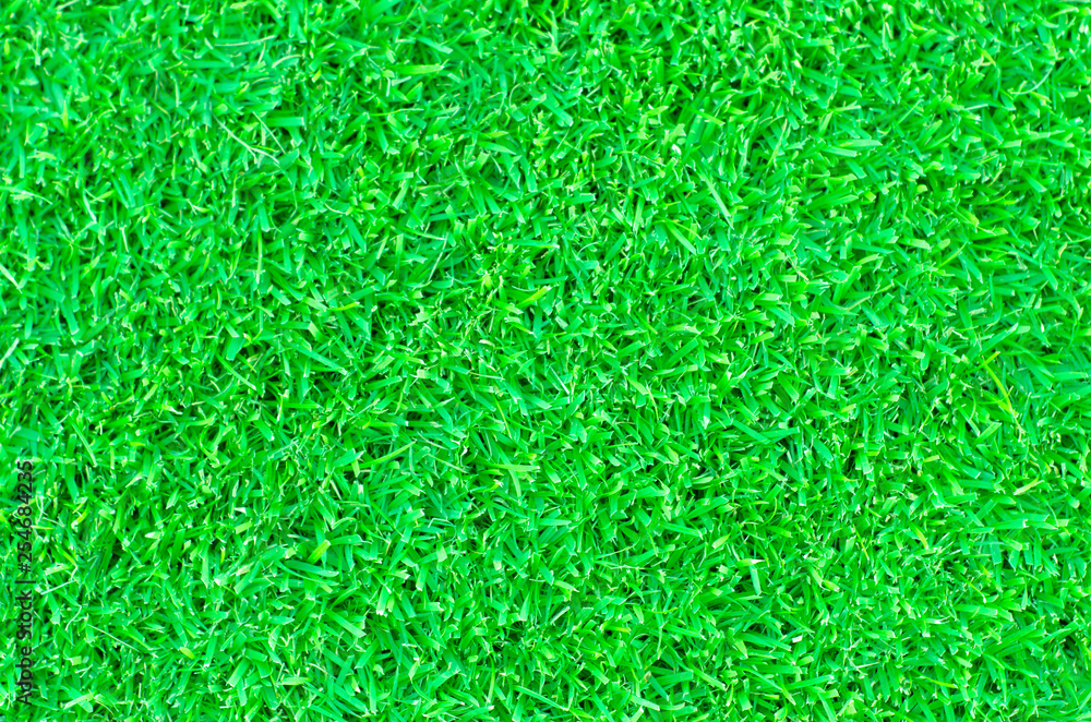 Top view of green grass background wallpaper Top view of green grass background wallpaper