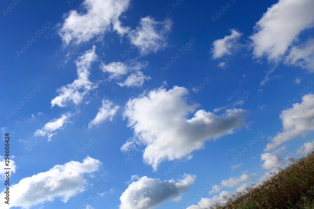 White clouds in the blue sky over the meadow on a sunny summer day White clouds in the blue sky over the meadow on a sunny summer day
