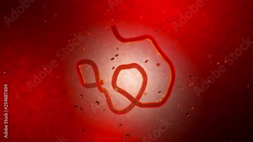3D rendered Animation of a Ebola virus floating in the human body.