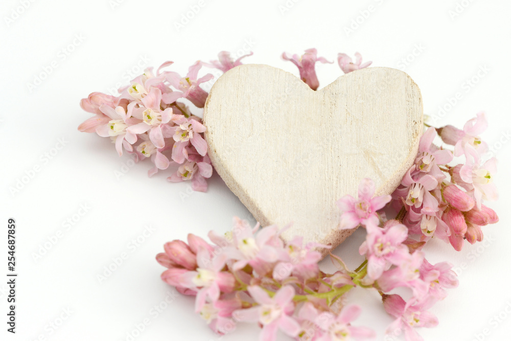 heart and flower lying on white heart and flower lying on white