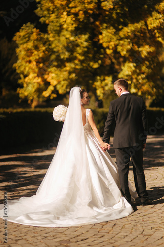 Beautiful bride with her husband in the park. They are walking near the yellow tree. Beautiful makeup © Aleksandr