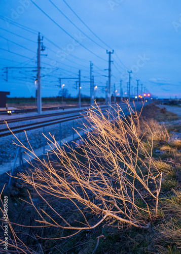 Schienen einer Bahntrasse am Abend photo