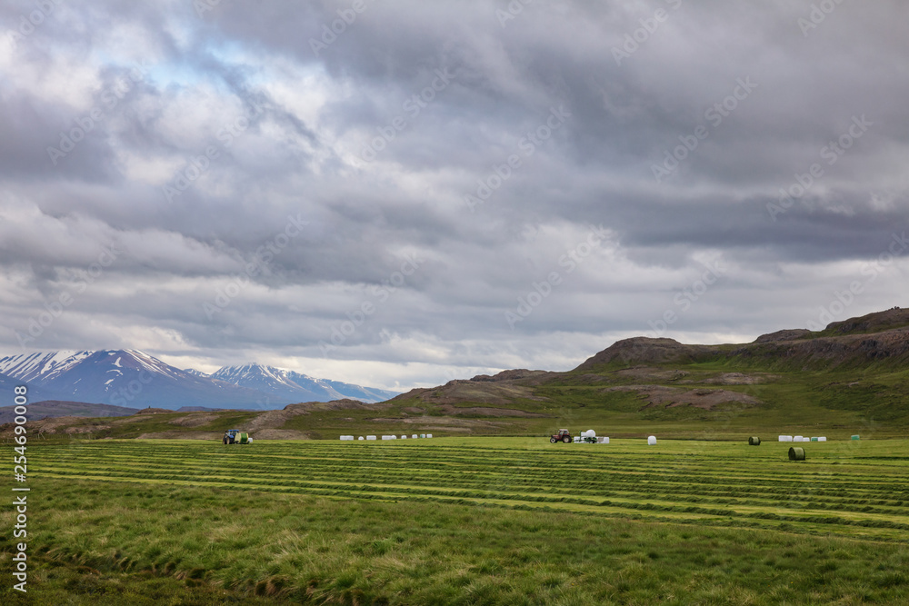 Icelandic rural landscape with tractor harvesting hay in a field Iceland Scandinavia