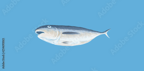 fish isolated painting illustration