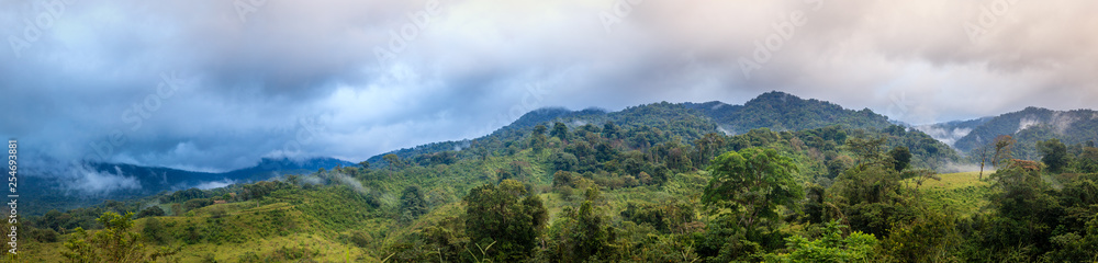 Cloud forest in Costa Rica