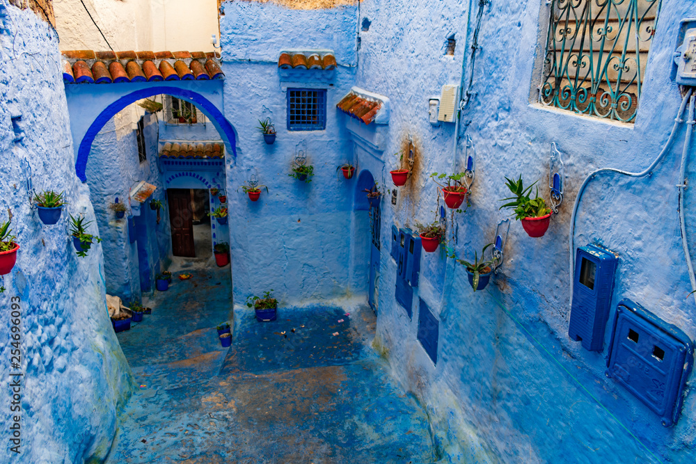 Blue Chefchaouen Morocco architecture with potted plants Blue Chefchaouen Morocco architecture with potted plants