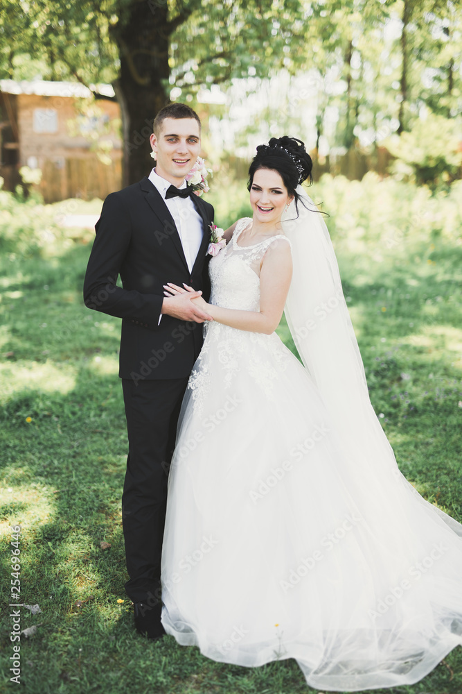 Romantic, fairytale, happy newlywed couple hugging and kissing in a park, trees in background Romantic, fairytale, happy newlywed couple hugging and kissing in a park, trees in background